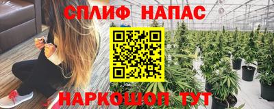 герыч Шелехов