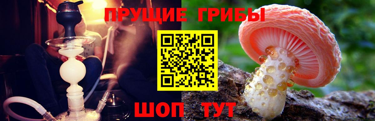 Псилоцибиновые грибы мухоморы  Вход с VPN  Вышний Волочёк 